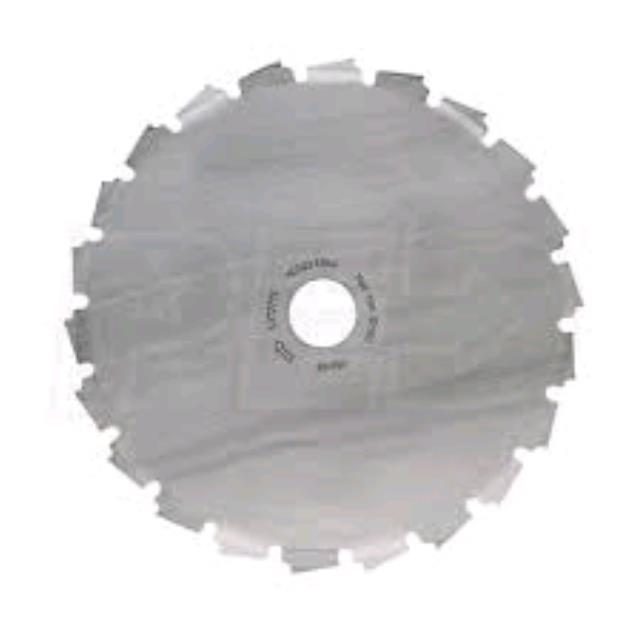 Rental store for SAW BLADE, SCARLETT 8 in Canton CT