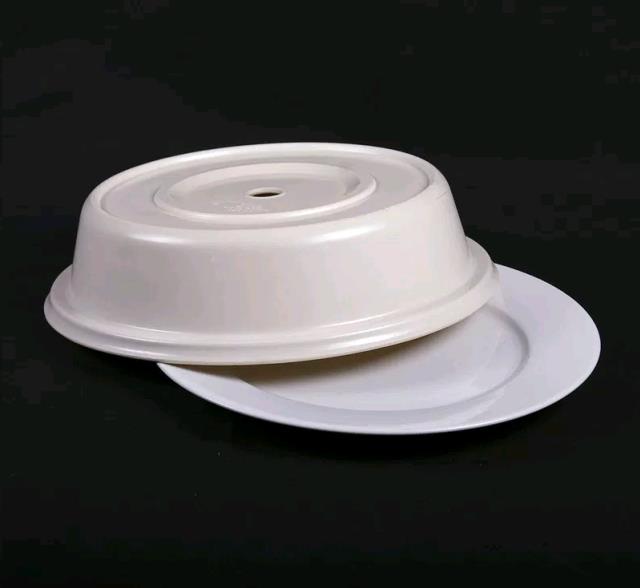 Rental store for COVER, DINNER PLATE in Canton CT