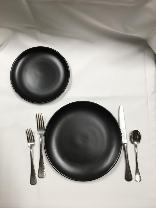 Where to find DISHES, MATTE BLACK in Canton