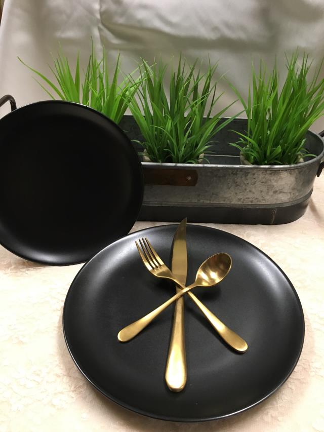 Rental store for DISHES, MATTE BLACK in Canton CT